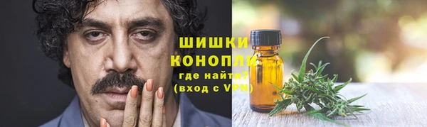 прущие грибы Армянск