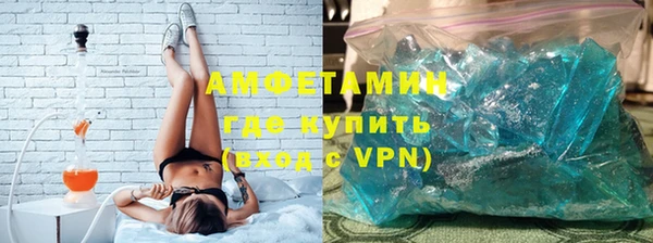 прущие грибы Армянск