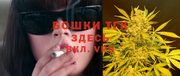 прущие грибы Армянск
