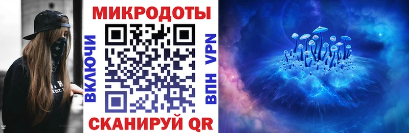 OMG маркетплейс Спасск-Дальний Псилоцибиновые грибы мухоморы магазин продажи наркотиков